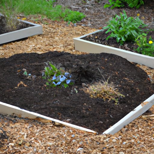 How to Start a Flower Bed: Research, Plan & Plant for a Colorful Garden