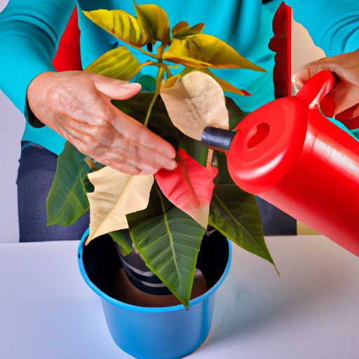 How to Care for a Poinsettia – Tips and Tricks