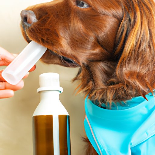Treating Kennel Cough at Home: A Comprehensive Guide