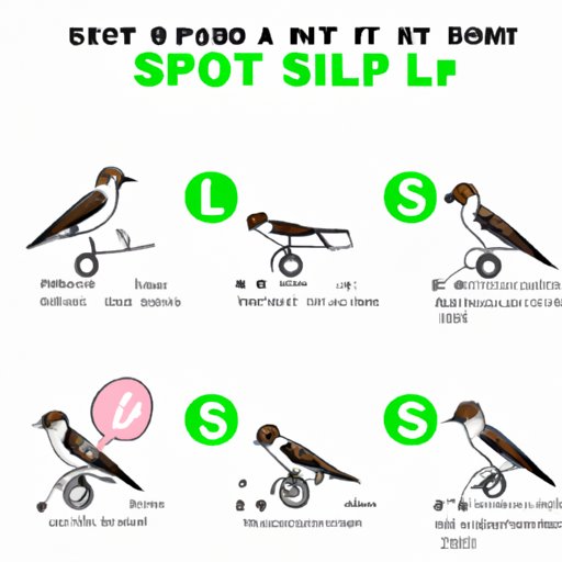 How to Use a Bird Scooter: A Step-by-Step Guide