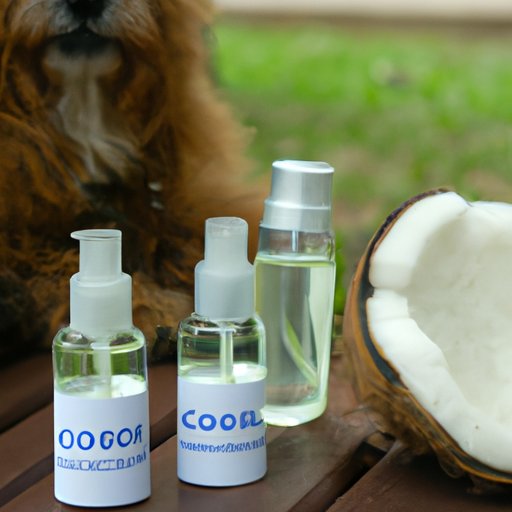 Is Coconut Oil Safe For Dogs Skin? Exploring the Pros, Cons and Uses
