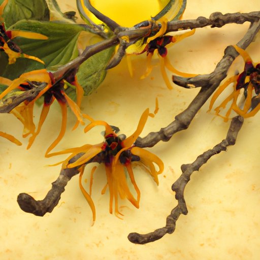 Is Witch Hazel Bad for Skin? Exploring the Benefits and Risks