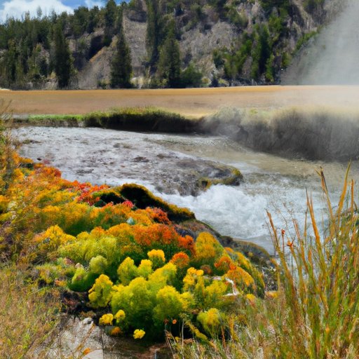 Exploring Yellowstone on YouTube TV: A Guide to Viewing the National Park