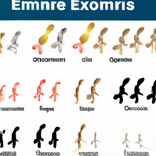 Which Animal Has the Most Chromosomes? Exploring the Variations Across Species