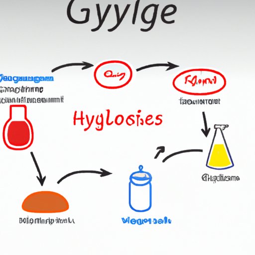 Exploring the Products of Glycolysis: A Comprehensive Guide to the Chemistry and Metabolic Process