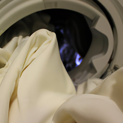 Understanding the Delicates Setting on a Washing Machine: Benefits and Tips