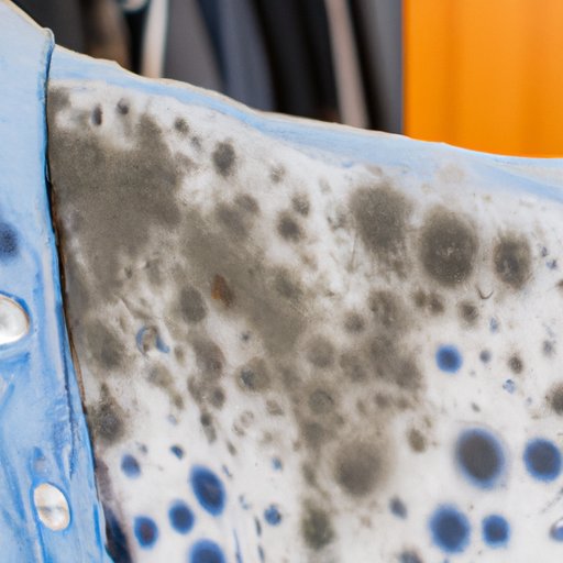 What Does Mold Look Like On Clothes? A Guide to Spotting and Removing Mold