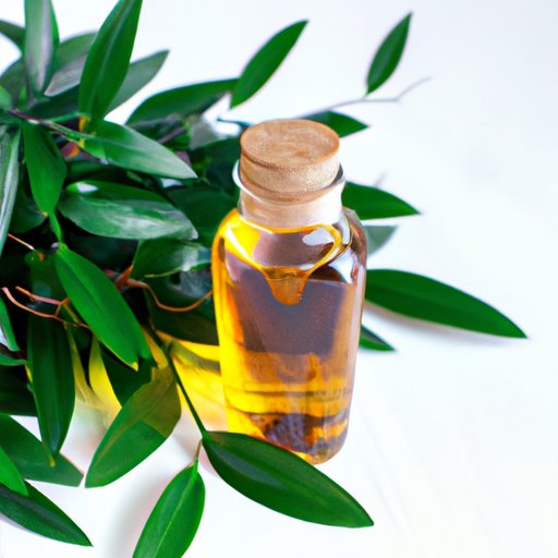 What Does Tea Tree Oil Do for Hair? Exploring the Benefits of Natural Hair Care