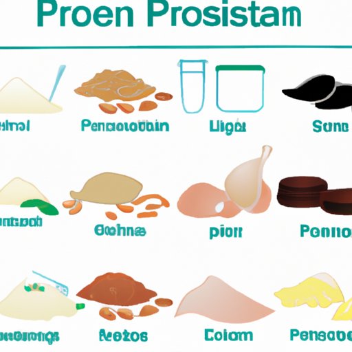 What Foods Have the Most Protein? A Comprehensive Guide