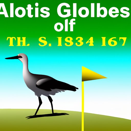 What is an Albatross in Golf? A Comprehensive Guide to this Rare Score