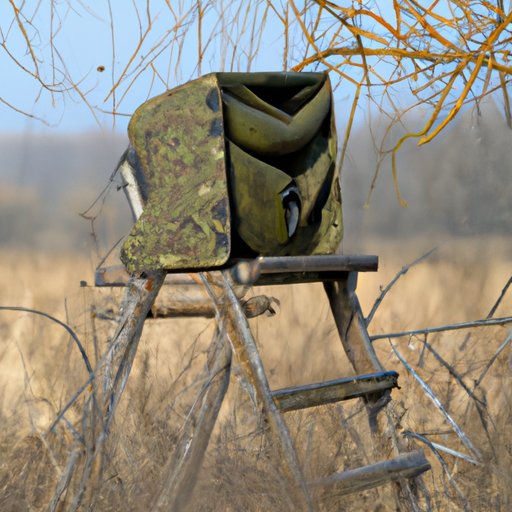 Carrying Capacity in Hunting: What You Need to Know