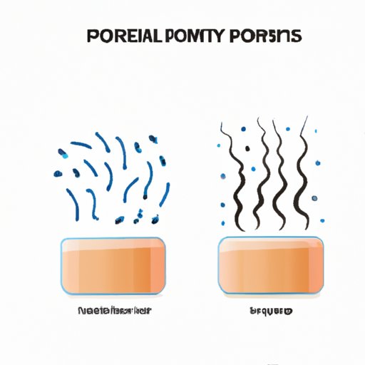 Hair Porosity: A Comprehensive Guide to Understanding and Managing Your Hair
