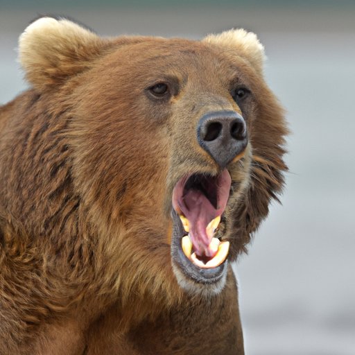Understanding the Nature of the Most Aggressive Bear Species