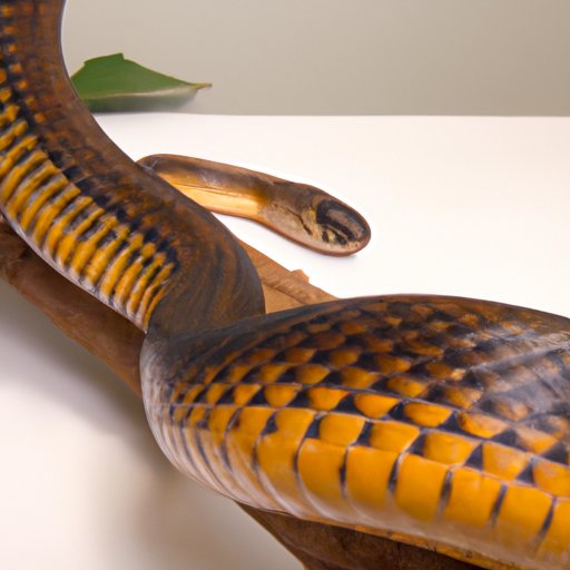 What is the World’s Most Venomous Snake? Exploring the Anatomy and Physiology of Venomous Snakes