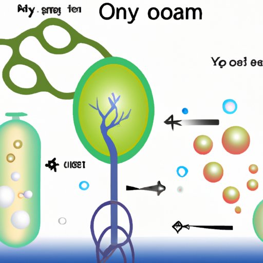 What Produces the Most Oxygen? A Comprehensive Guide