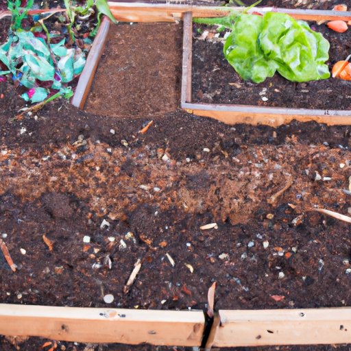 What Soil to Put in Raised Beds: An In-depth Guide