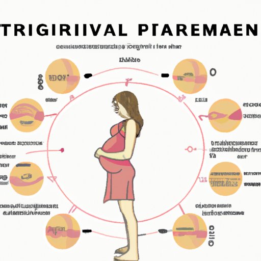 When Do Most Women Start Showing During Pregnancy?