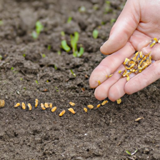 When Is the Best Time to Plant Grass Seeds: Analyzing Pros and Cons for Different Seasons and Regions