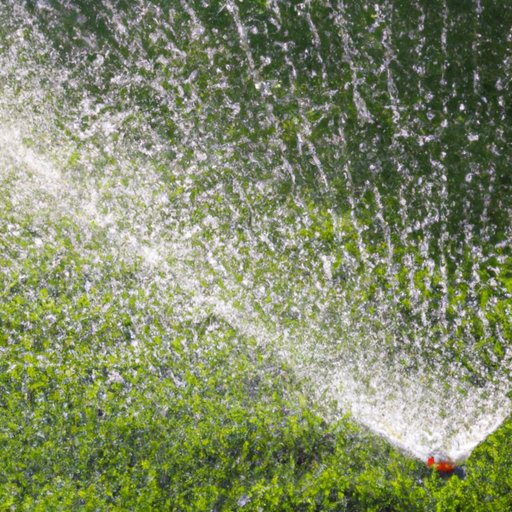 When is the Best Time to Water the Lawn? | A Comprehensive Guide