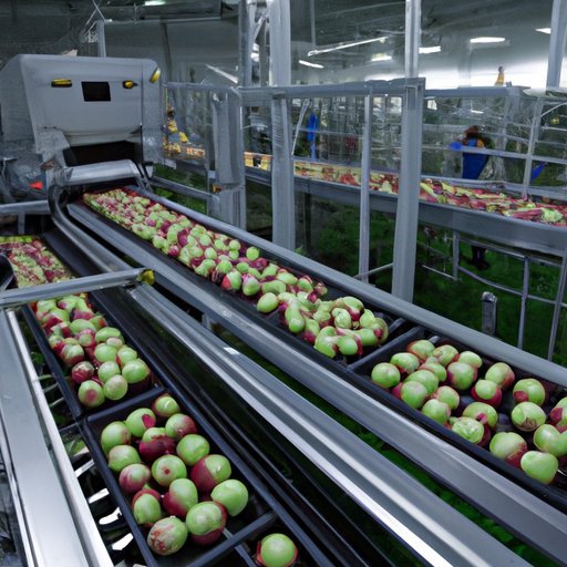 Where Are Apple Products Made? Exploring the Global Supply Chain