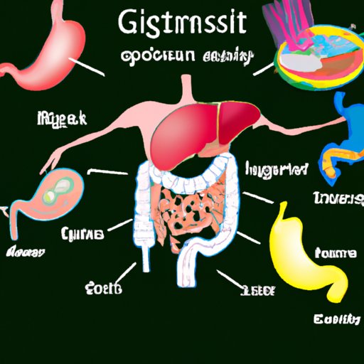 Where Does Most Digestion Occur? Exploring the Anatomy and Physiology of Human Digestion