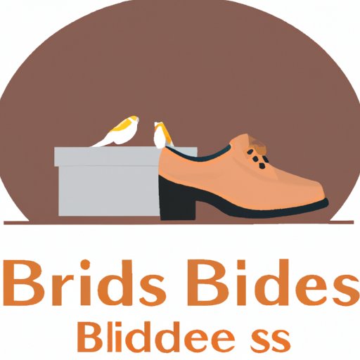Where to Buy Birdies Shoes – Comparing Prices, Quality & Trends
