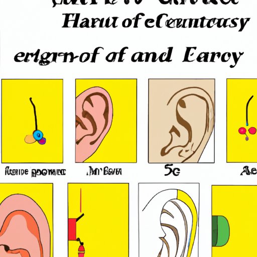 Which Ear Piercing Hurts the Most? Exploring Pain Tolerance and Anatomy of the Ear