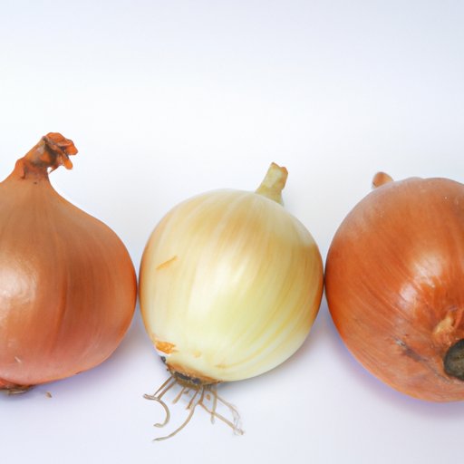 Which Onion is Best for Cooking? A Comprehensive Guide