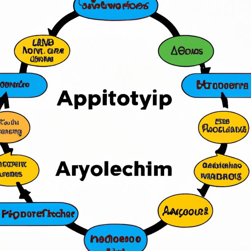 Which Stage of Cellular Respiration Produces the Most ATP?