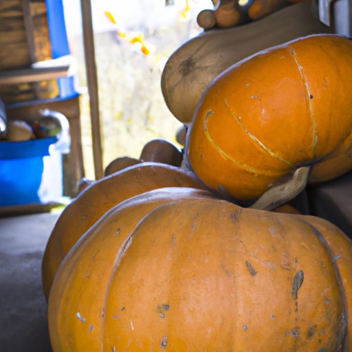 Which State Produces the Most Pumpkins? An Exploration of Pumpkin Production Across the US