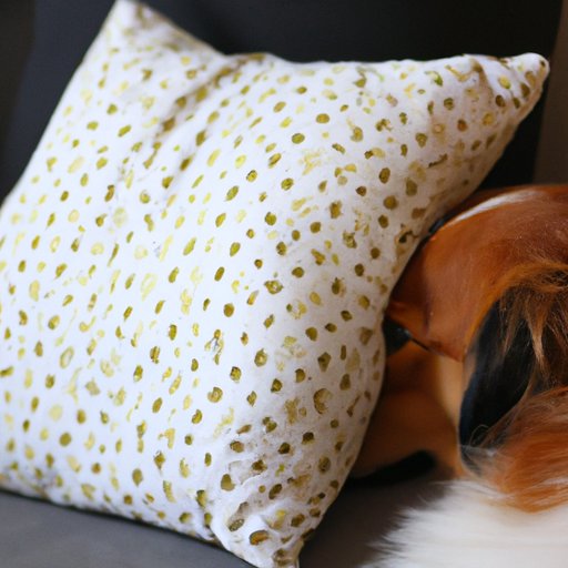 Why Does My Dog Sleep on My Pillow? Exploring the Benefits and Psychology Behind This Common Behavior