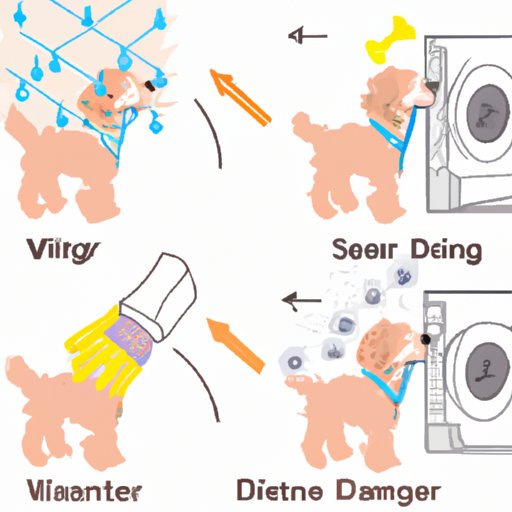 Why Does My Dryer Smell Like Wet Dog? Causes, Cleaning & Prevention