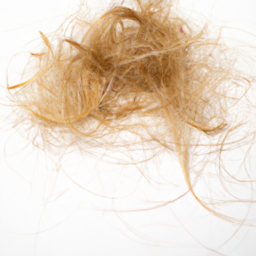 Why Does My Hair Feel Like Straw? Causes, Treatments & Solutions