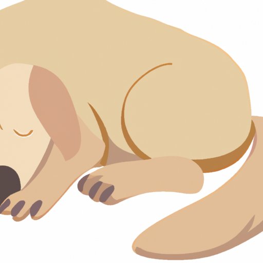 Why Do Dogs Make Noises When They Sleep? Exploring the Science Behind Dog Slumber Sounds