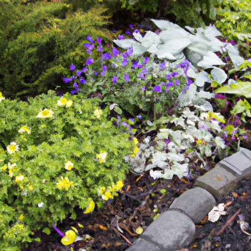 Creating a Beautiful Flower Bed: A Step-by-Step Guide